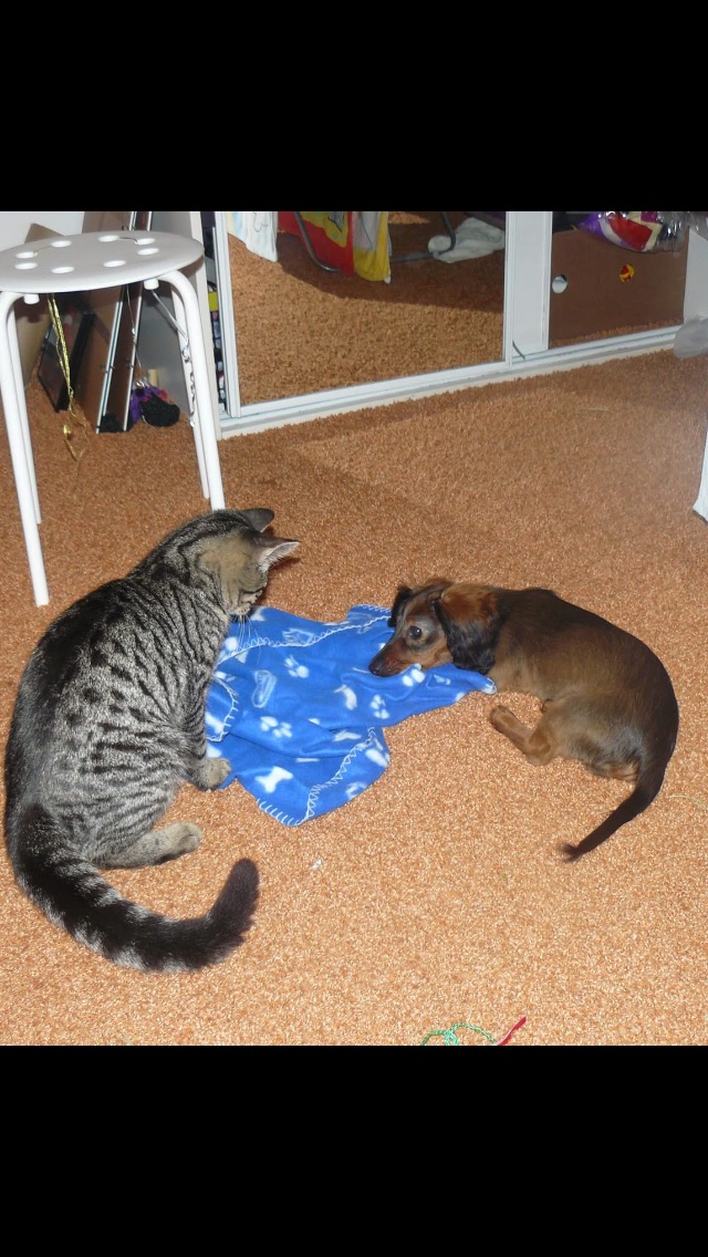 5DAC844D-23C3-48D3-8A8B-9D0E0AC181DE